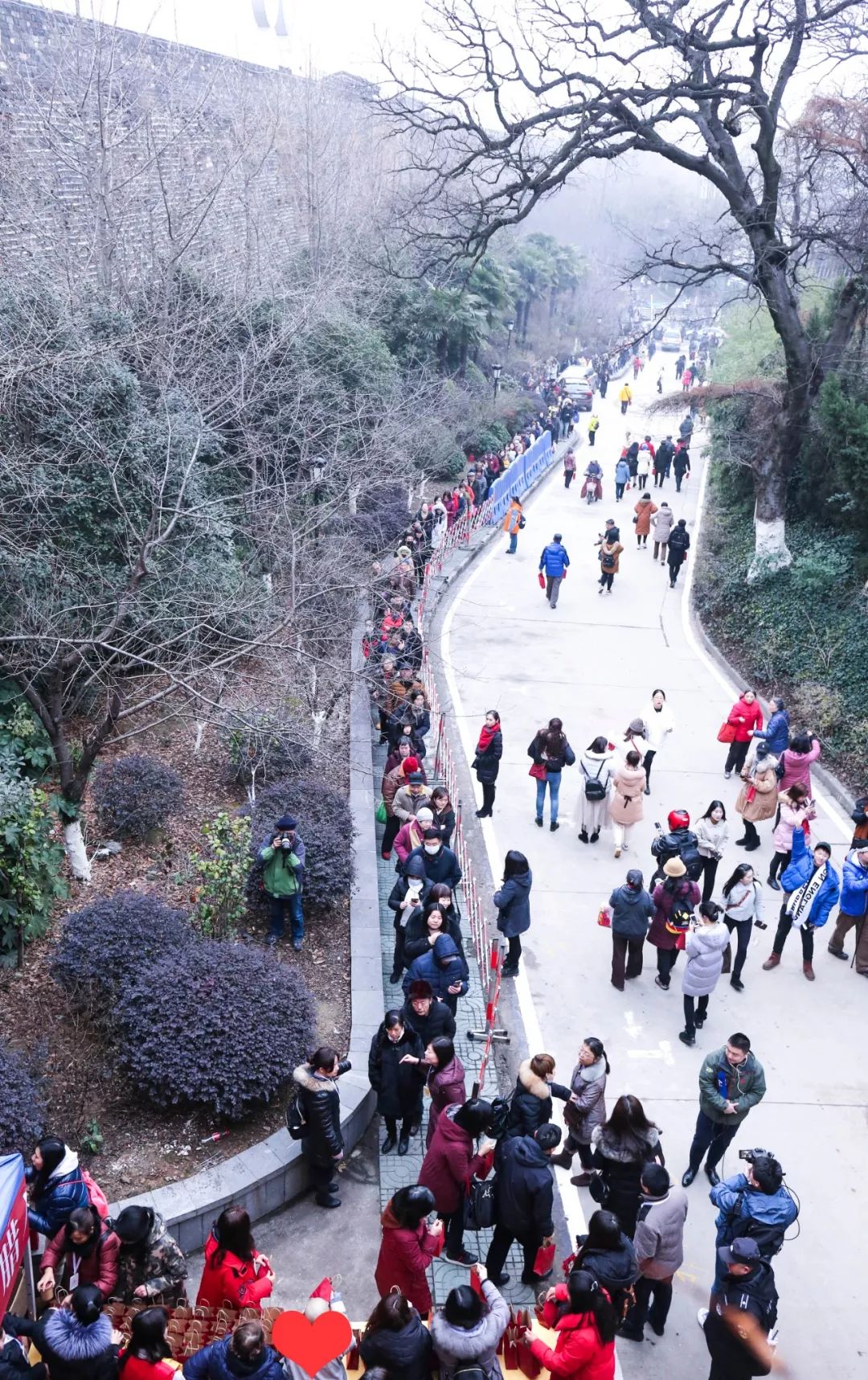 今天鸡鸣寺人还多么,今晚鸡鸣寺人多吗