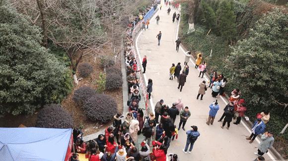 今天鸡鸣寺人还多么,今晚鸡鸣寺人多吗