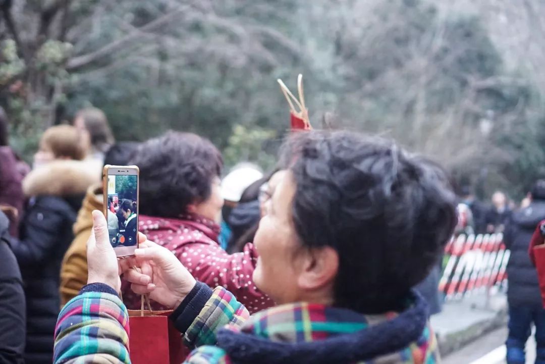 今天鸡鸣寺人还多么,今晚鸡鸣寺人多吗