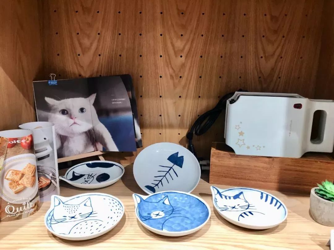 旅行/阅读/小众设计……逛逛这些能满足你精致生活幻想的美学概念店