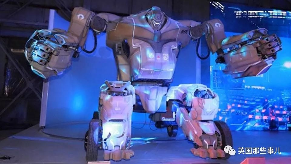 bbc眼中的中国大漠,bbc眼中的中国网红