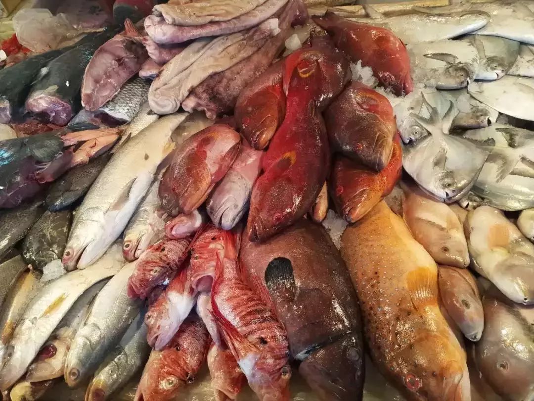 不认识这些海鲜，还敢说吃遍三亚？“三亚发布”能查海鲜限价哦～