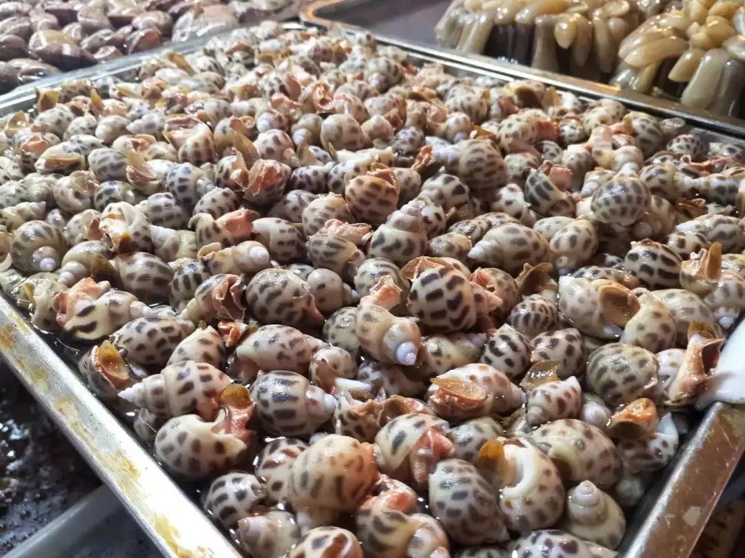 不认识这些海鲜,还敢说吃遍三亚?“三亚发布”能查海鲜限价哦~