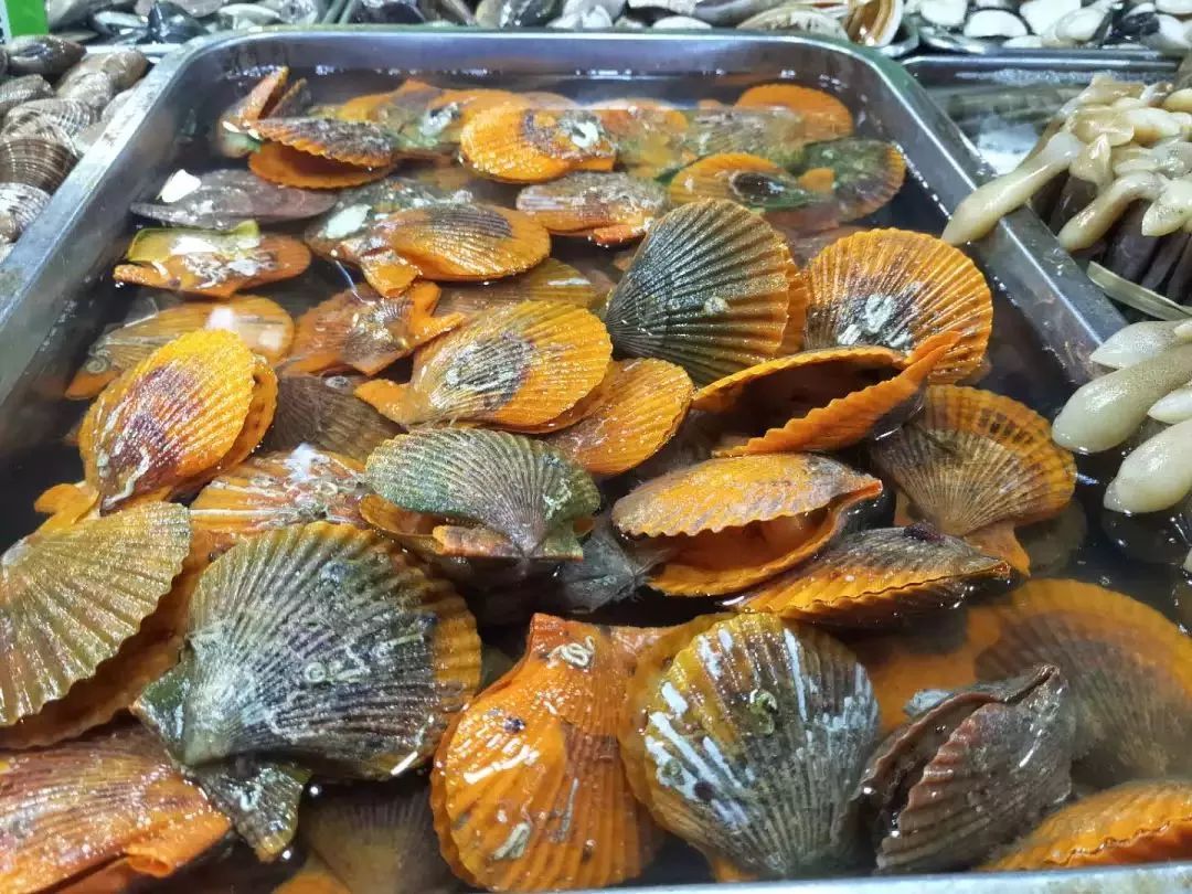 不认识这些海鲜，还敢说吃遍三亚？“三亚发布”能查海鲜限价哦～