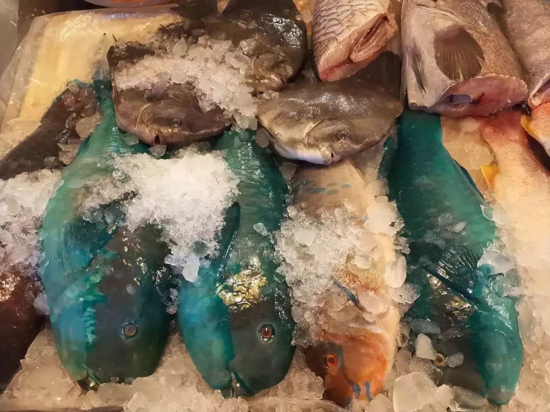 不认识这些海鲜,还敢说吃遍三亚?“三亚发布”能查海鲜限价哦~