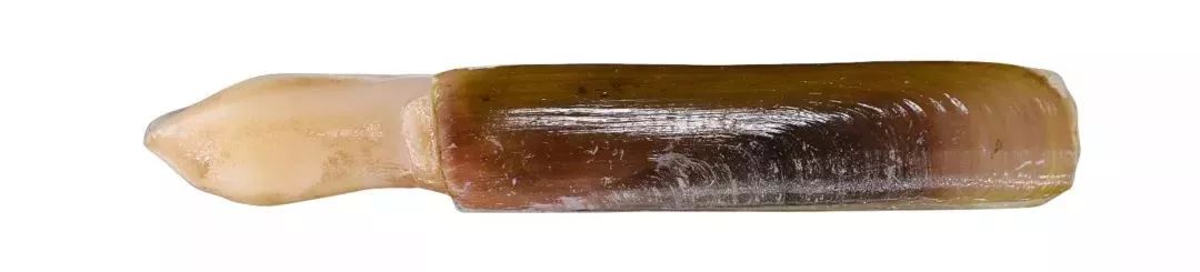 不认识这些海鲜,还敢说吃遍三亚?“三亚发布”能查海鲜限价哦~