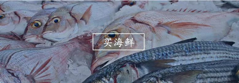 不认识这些海鲜,还敢说吃遍三亚?“三亚发布”能查海鲜限价哦~