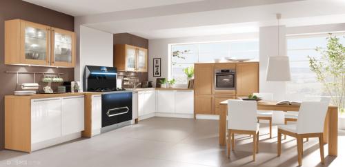 全国十大集成灶品牌排行榜官网,分体式集成灶十大公认品牌排行榜