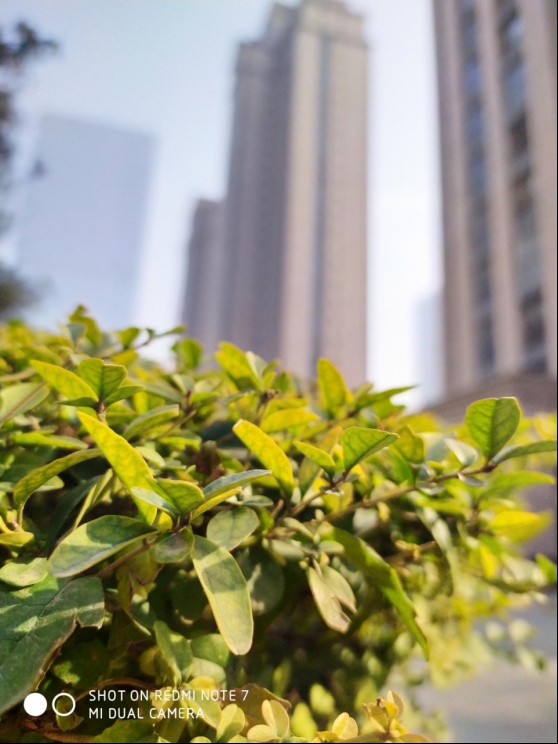 红米note7游戏测评现在好不好用,生死看淡不服就干原创视频