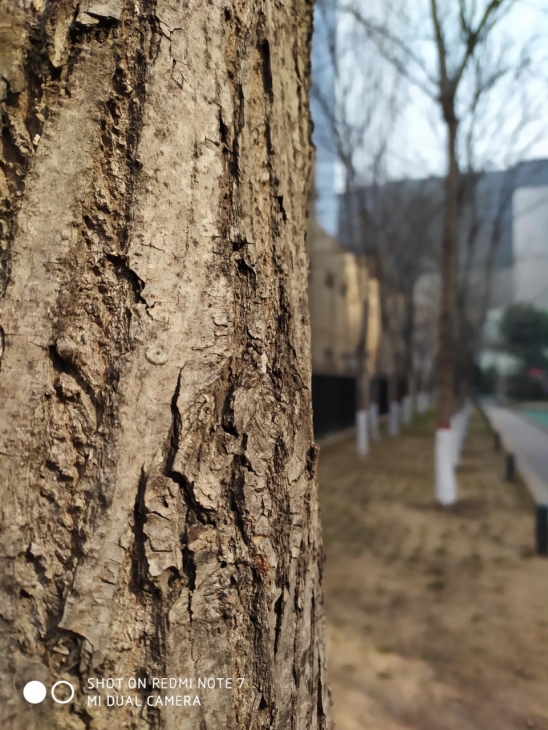 红米note7游戏测评现在好不好用,生死看淡不服就干原创视频