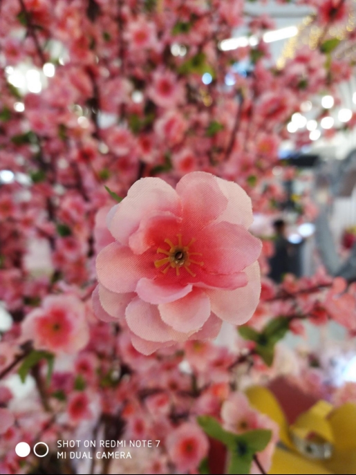 红米note7游戏测评现在好不好用,生死看淡不服就干原创视频