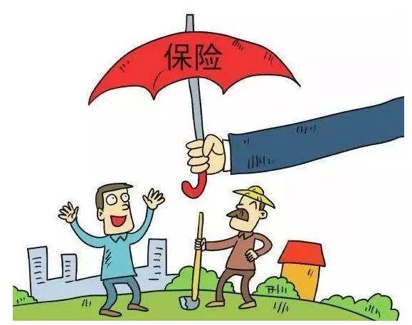 没错,又是海沧,福建第一!