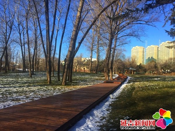 延吉通报表扬,延吉公园最新规划