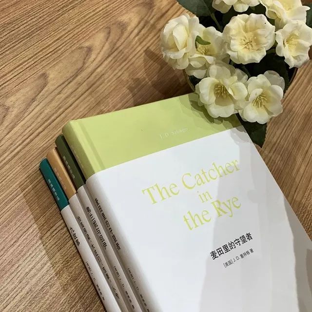 最好的译林书籍,译林书单经典100篇