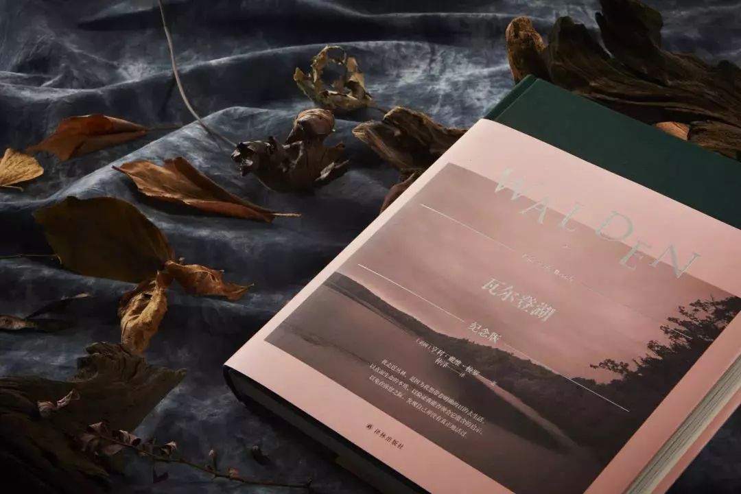 最好的译林书籍,译林书单经典100篇