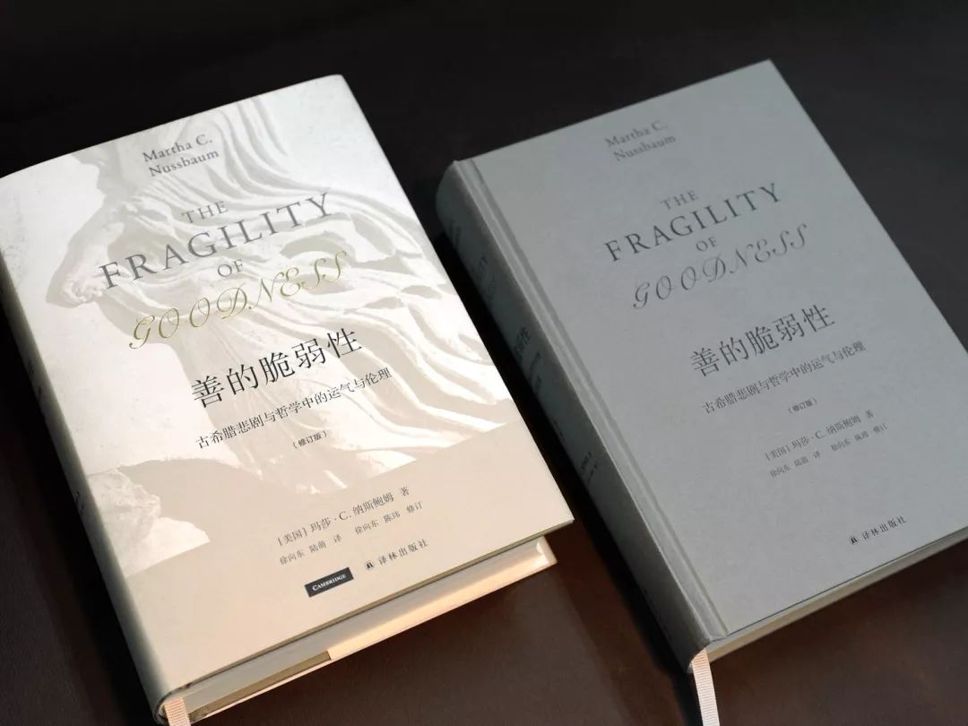 最好的译林书籍,译林书单经典100篇