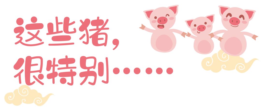 什么?全抢光了?所以杭州到底还能买到哪些猪年限定啊?!