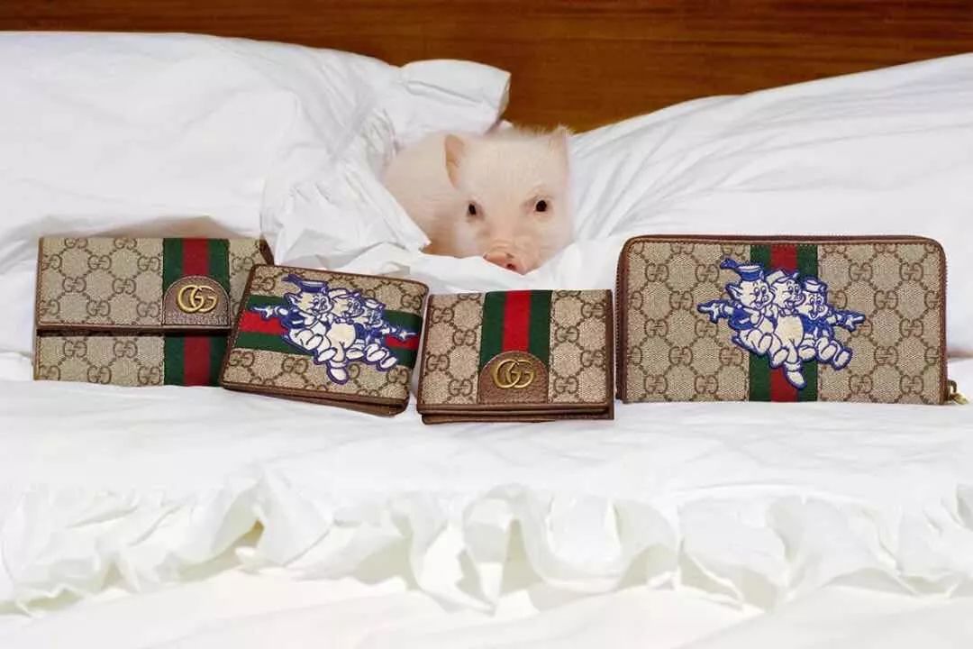 什么?全抢光了?所以杭州到底还能买到哪些猪年限定啊?!