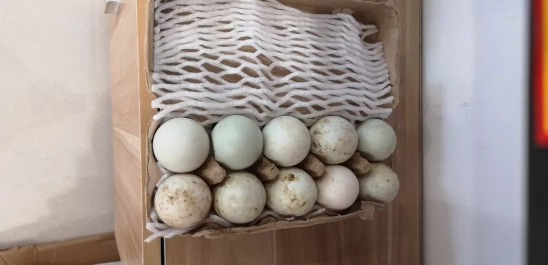 一站式买全!余杭这家土鲜店把纯正的土货都搬来了!酱鸭、毛腌鸡、猪头肉……