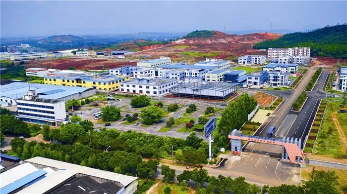 荔浦经济发展前景如何,荔浦靠什么发展起来的