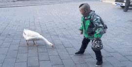 山东二胎妈妈的辛酸,山东二胎妈妈