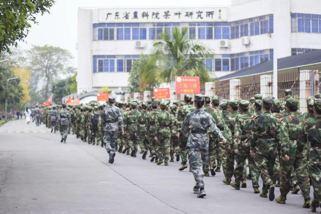 我们的军训时光英姿飒爽,我的军训生活的军训日记