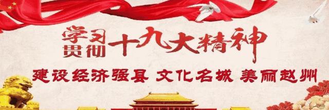 赵县基本状况,赵县近几年变化