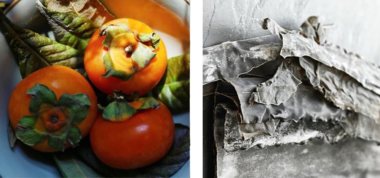 真正有营养的洗发皂,爆火的洗发皂