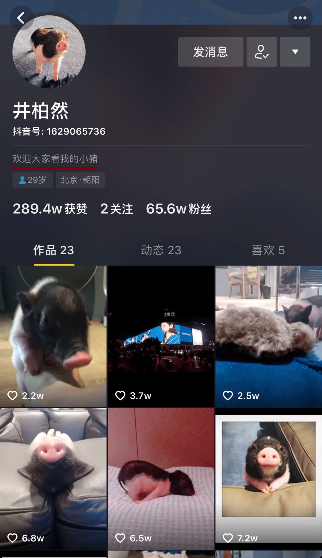 揭穿身边的骗局文章,揭穿新骗局视频