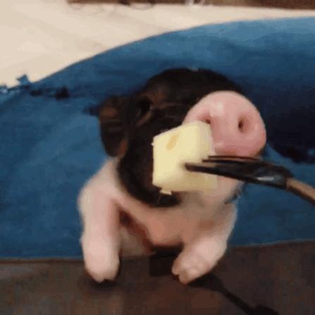 揭穿身边的骗局文章,揭穿新骗局视频