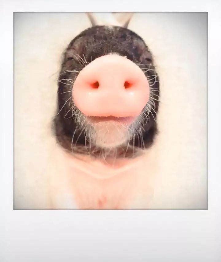 揭穿身边的骗局文章,揭穿新骗局视频