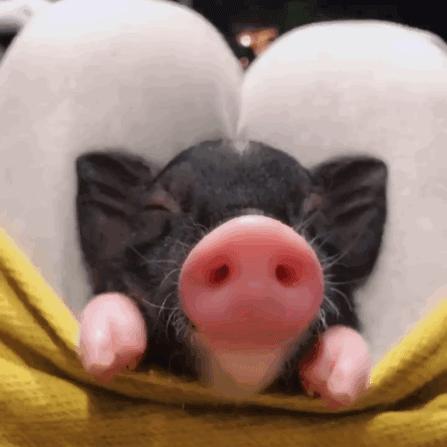 揭穿身边的骗局文章,揭穿新骗局视频