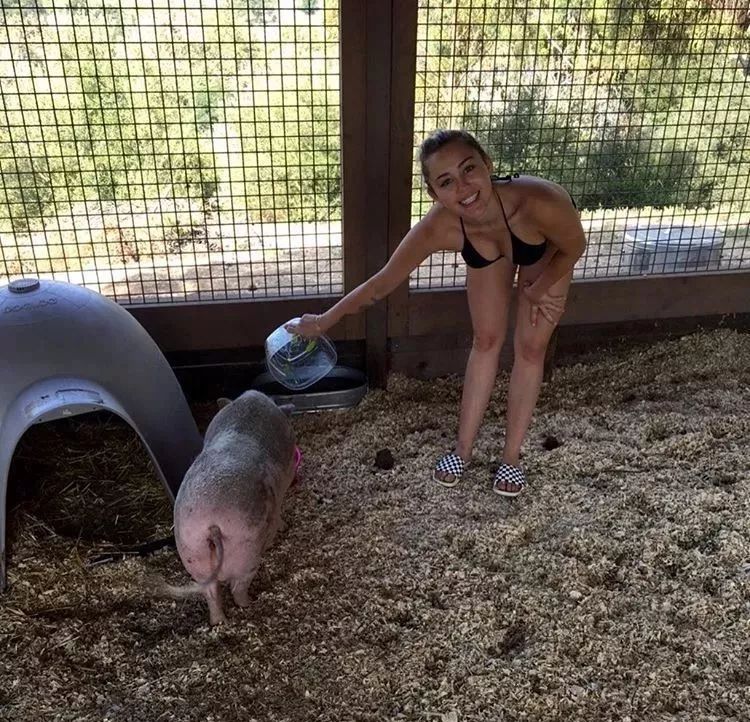 揭穿身边的骗局文章,揭穿新骗局视频