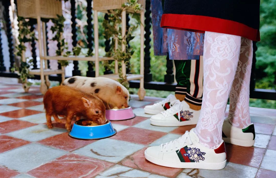 揭穿身边的骗局文章,揭穿新骗局视频