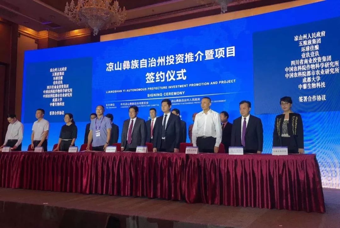 聚焦｜寓意感谢的“卡洒洒”上市，环球佳酿布局凉山产业扶贫