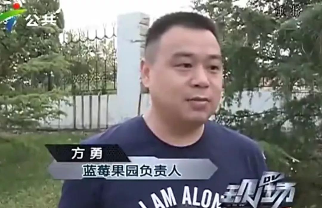 蓝莓精酿品鉴,蓝莓微醺水果啤酒