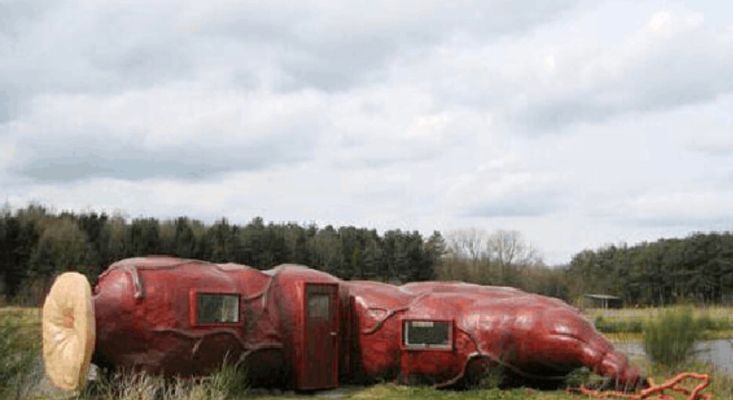 主题酒店,到底只是个宣传噱头,还是真的能赚钱?