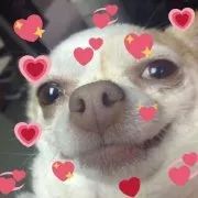 高速车牌无感支付,广东高速无感支付