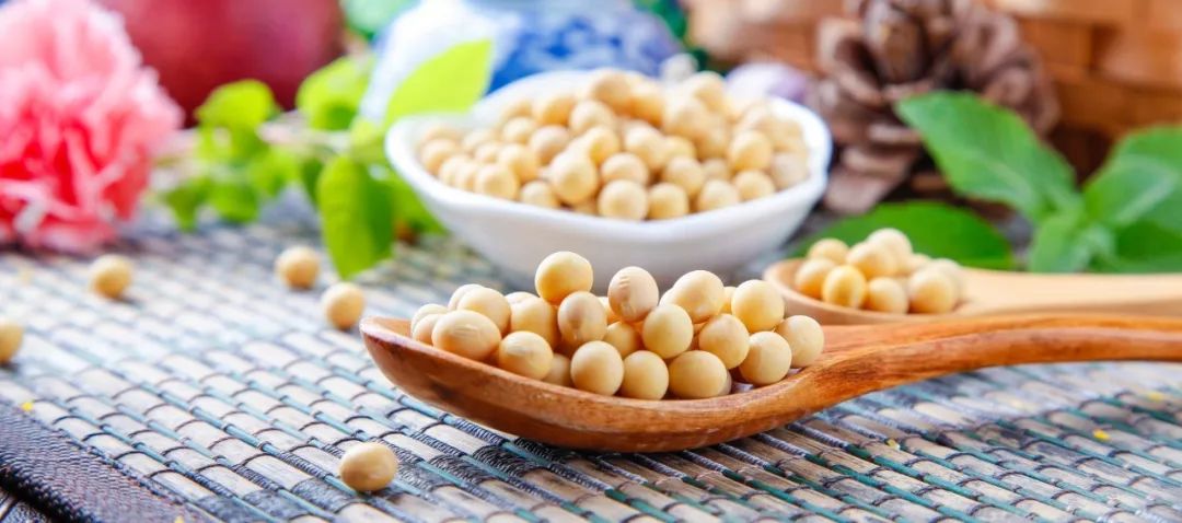 全球疾病负担结果怎么看,全球疾病死亡排行榜