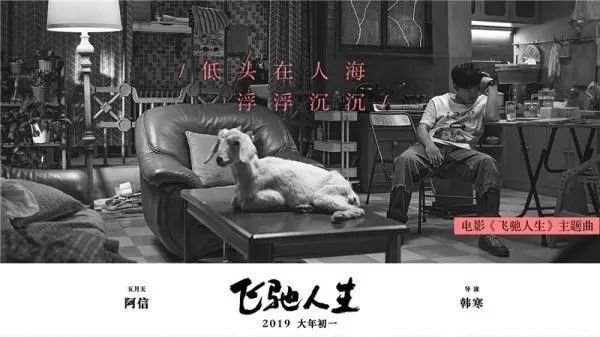 《飞驰人生2》金句与韩寒,飞驰人生阿信出席活动