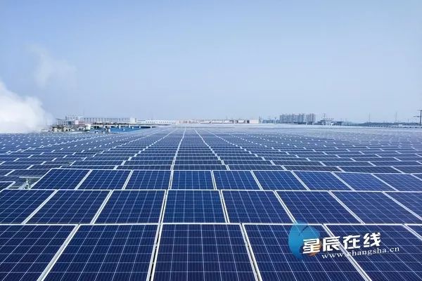 加加特级味极鲜酿造酱油,加加酱油食品有限公司