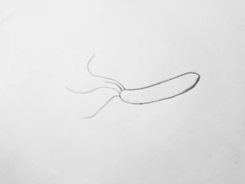 吹口气就能检测，福州疾控带你了解这个细菌