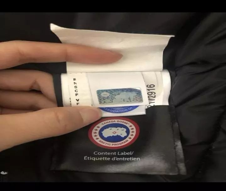 网易考拉加拿大鹅最后结果,网易考拉陷真假大鹅风波