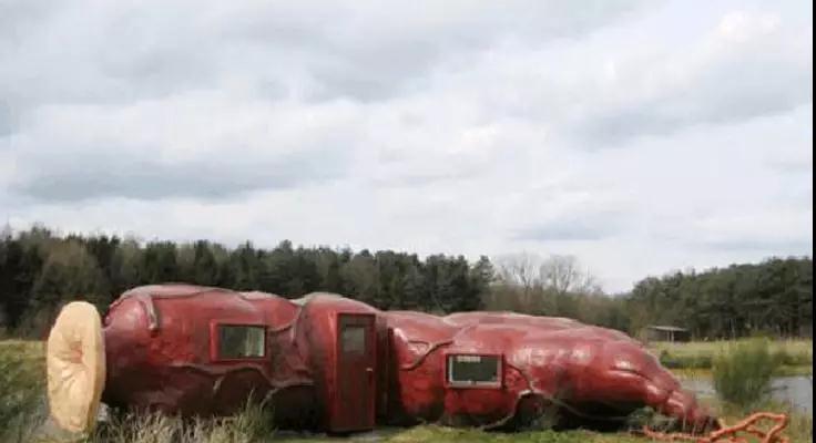 主题酒店,到底只是个宣传噱头,还是真的能赚钱?