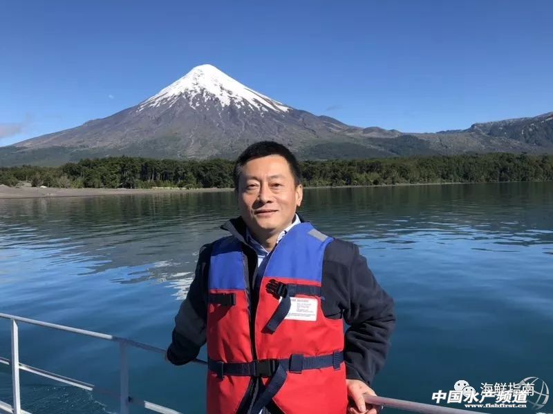 海产行业的未来趋势如何,海产行业的感悟心得分享