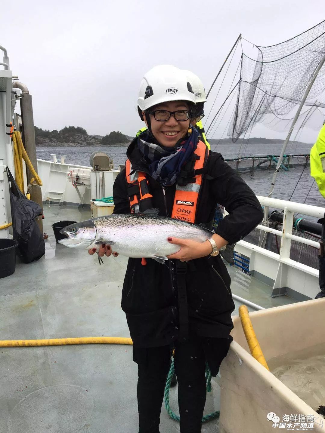 海产行业的未来趋势如何,海产行业的感悟心得分享