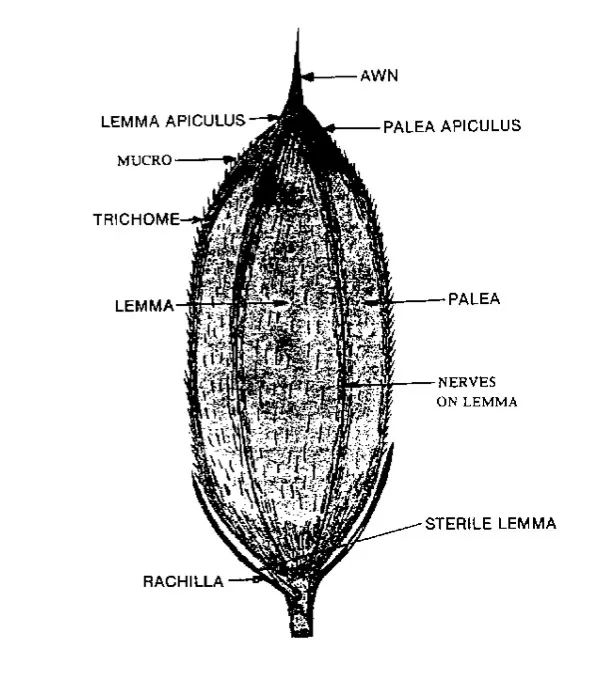 整个北欧的设计,都在这架飞机上