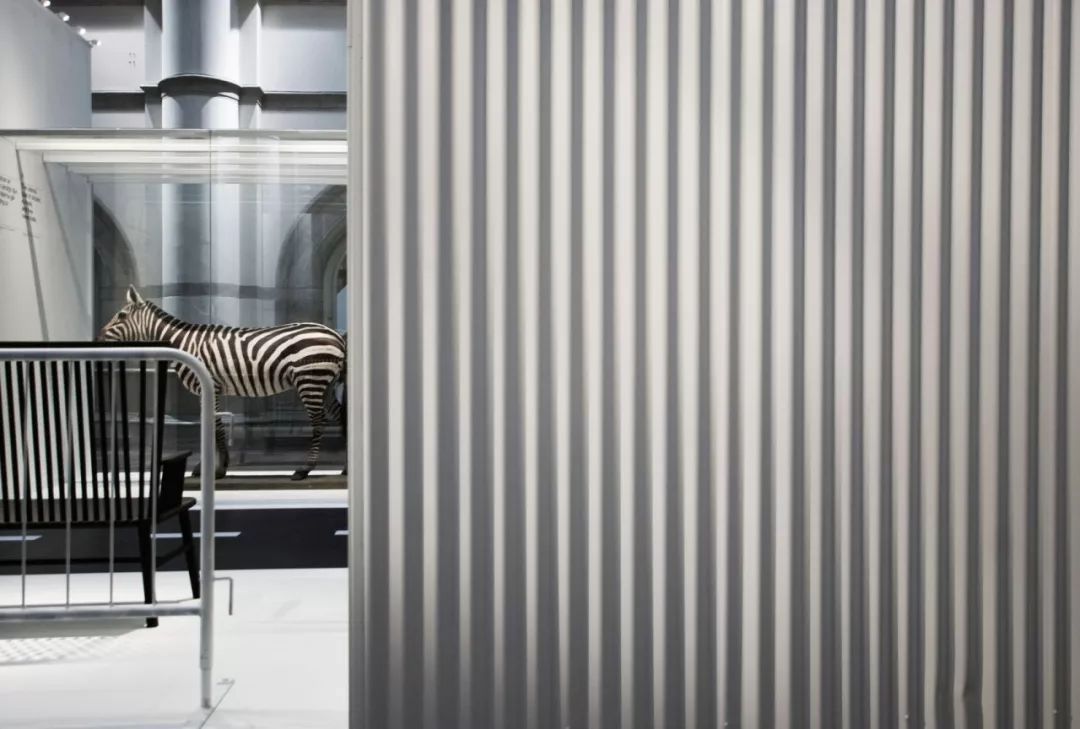 整个北欧的设计,都在这架飞机上