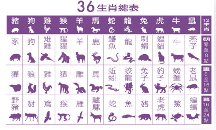 越南十二生肖为什么没有兔而是猫,十二生肖里有猫有蛇