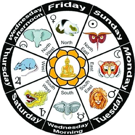 越南十二生肖为什么没有兔而是猫,十二生肖里有猫有蛇